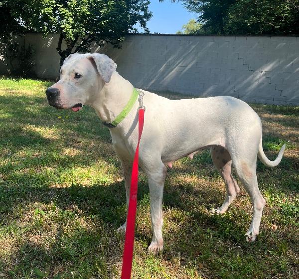 LOLA Foto 7